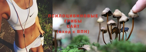гашиш Вяземский