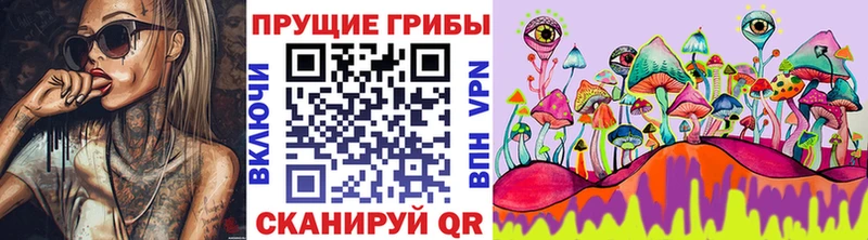 закладка  Певек  Псилоцибиновые грибы прущие грибы 